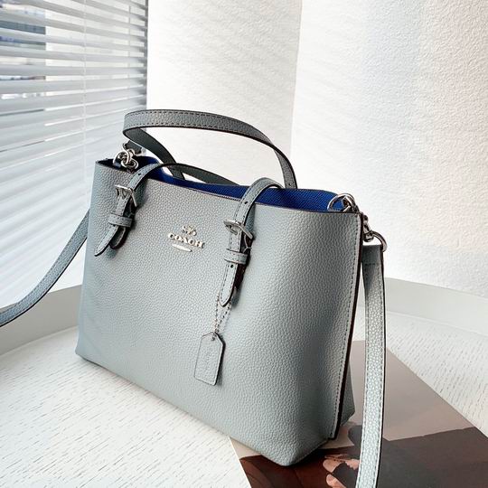 Coach C4250 25x19x110cm zy1_4