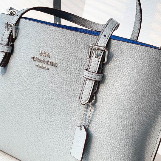 Coach C4250 25x19x110cm zy1_5