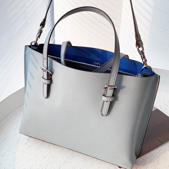 Coach C4250 25x19x110cm zy1_8