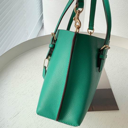 Coach C4250 25x19x110cm zy2_5