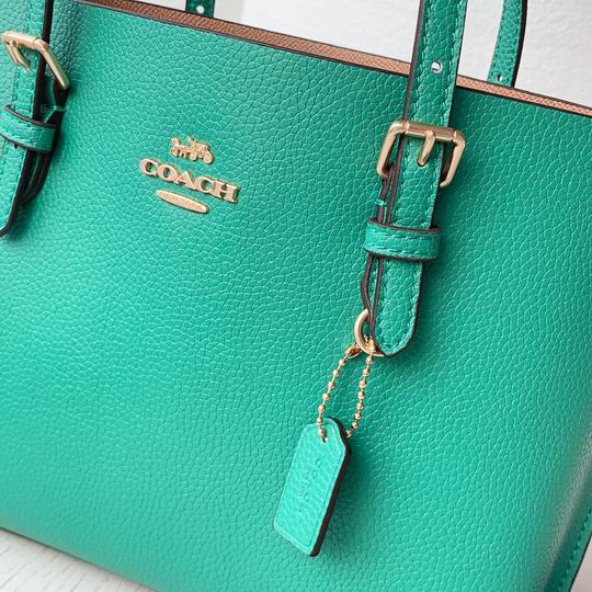 Coach C4250 25x19x110cm zy2_6