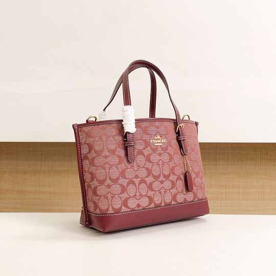 Coach CH228 25x19x11cm zy_3