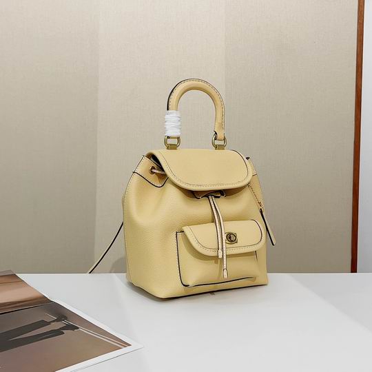 Coach CH789 21x23x12cm zy_2