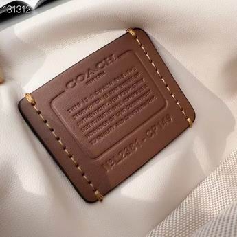 Coach CP149 21x10cm zy_9