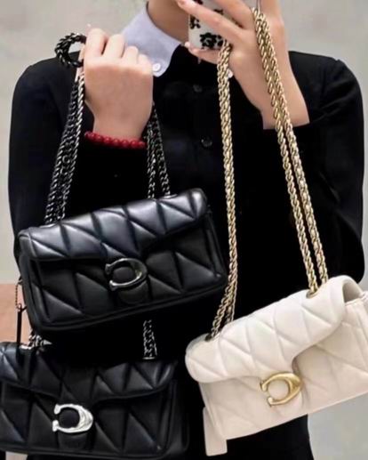 Coach CP150 26x15cm zy_2