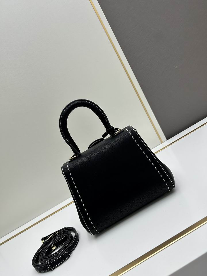 Delvaux 20x16x12cm jj_2