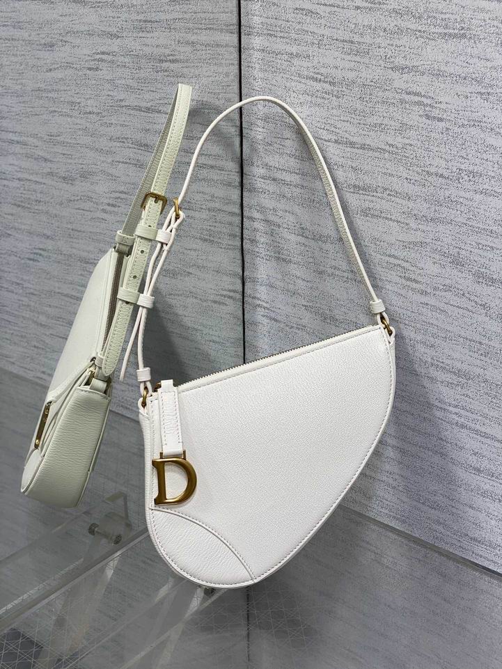 Dior 19.5x4.5x16cm wz4_1