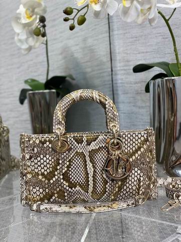 Dior 南非蟒蛇皮 26x6x14cm CN (1)