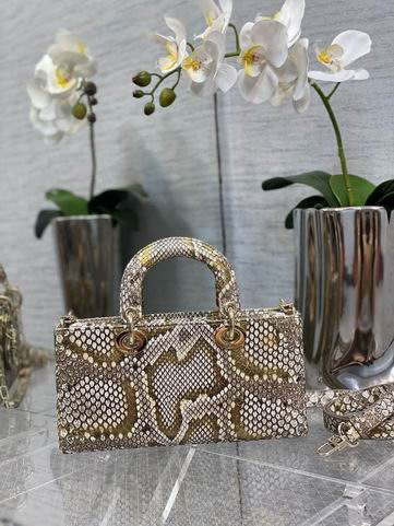 Dior 南非蟒蛇皮 26x6x14cm CN (2)