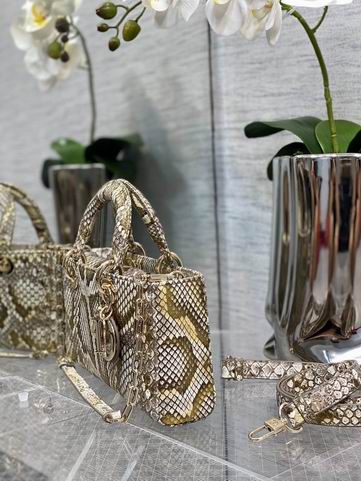 Dior 南非蟒蛇皮 26x6x14cm CN (3)