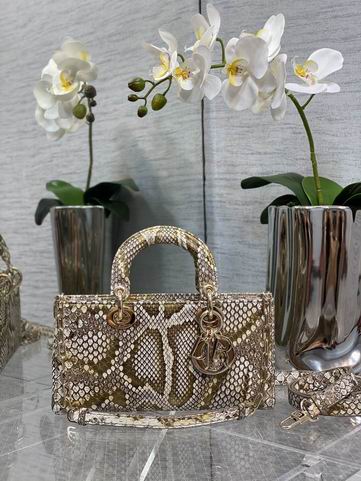 Dior 南非蟒蛇皮 26x6x14cm CN (4)