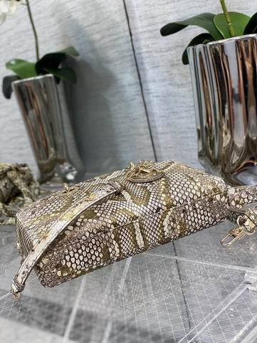 Dior 南非蟒蛇皮 26x6x14cm CN (5)