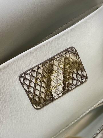 Dior 南非蟒蛇皮 26x6x14cm CN (8)