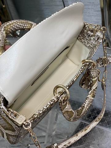 Dior 南非蟒蛇皮 26x6x14cm CN (9)