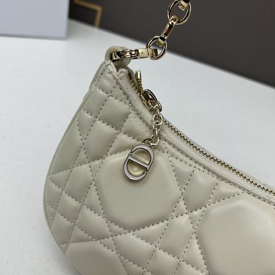 Dior 1542 26x15x5.5cm ww (13)