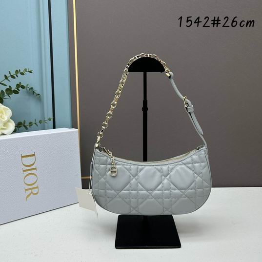 Dior 1542 26x15x5.5cm ww (17)