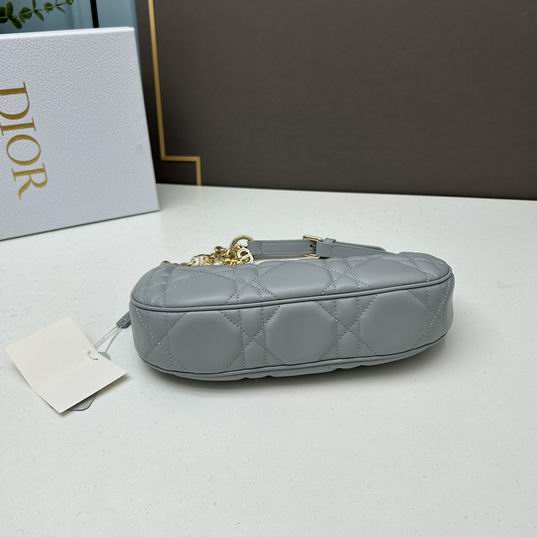 Dior 1542 26x15x5.5cm ww (20)