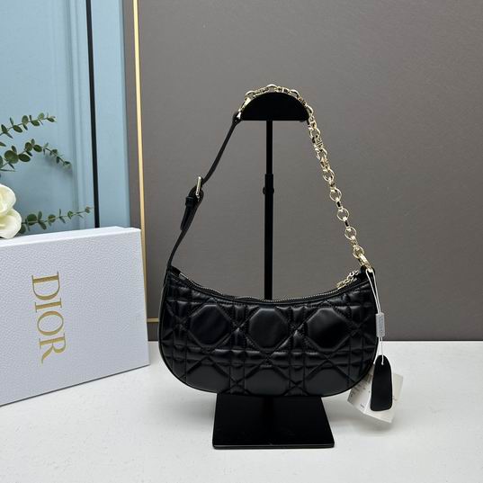 Dior 1542 26x15x5.5cm ww (26)