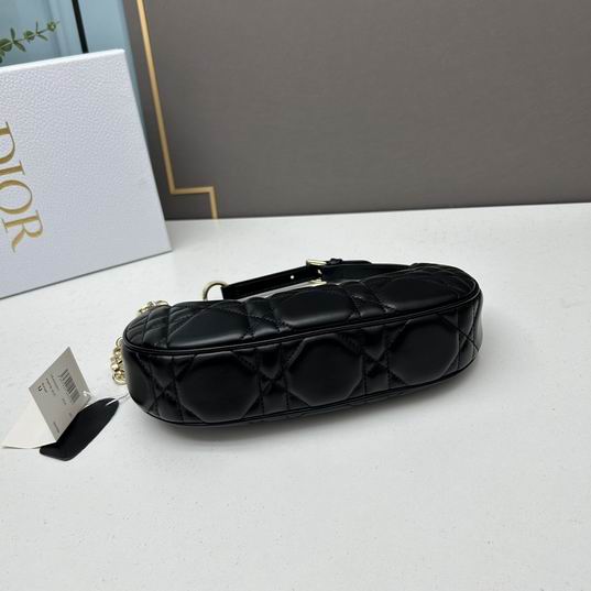Dior 1542 26x15x5.5cm ww (28)