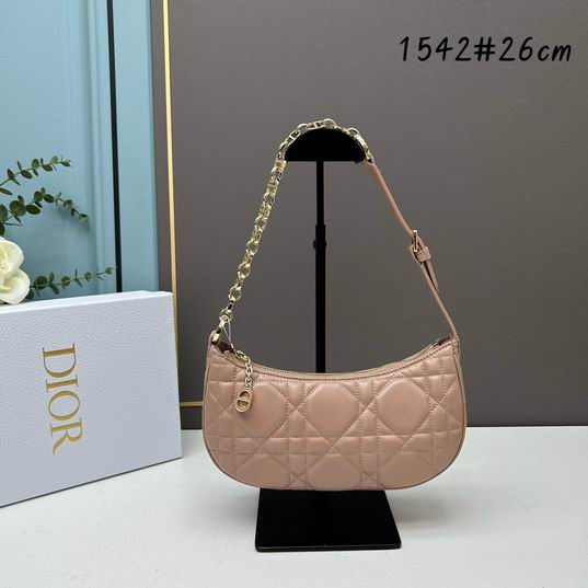 Dior 1542 26x15x5.5cm ww (33)