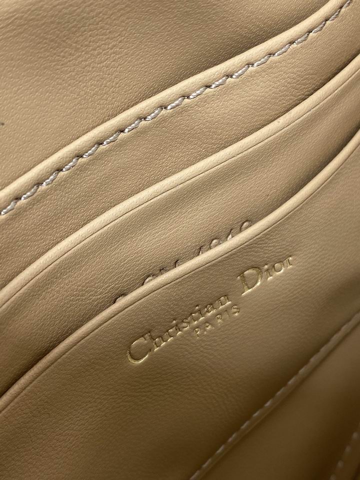 Dior 19.5x4.5x16cm wz2_9