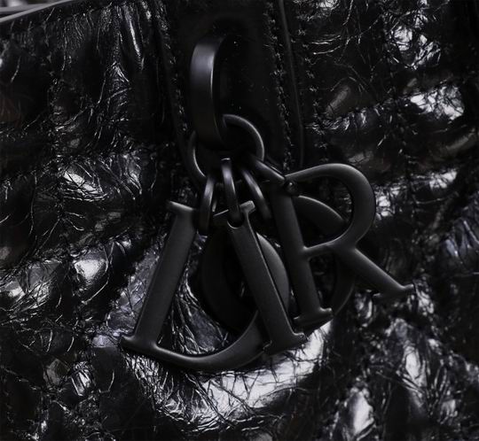 Dior 2821 28.5x19x21.5cm wz_7