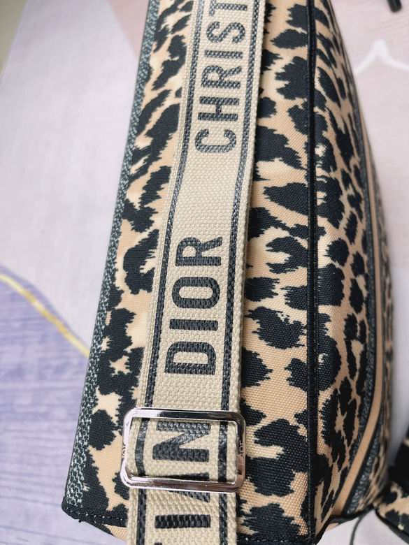 Dior 42x32x15cm CX1 (6)