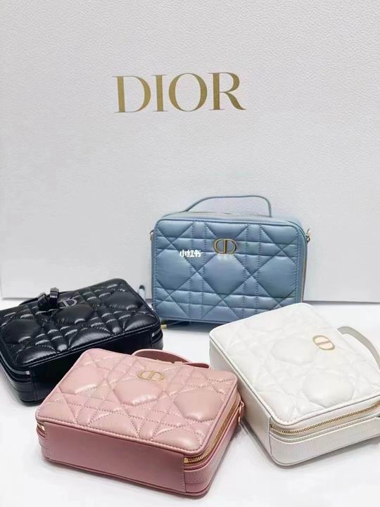 Dior 6009 20x15x6cm ww (1)