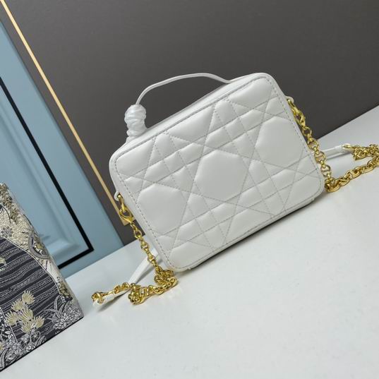 Dior 6009 20x15x6cm ww (10)
