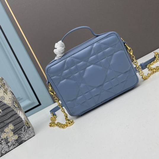 Dior 6009 20x15x6cm ww (18)