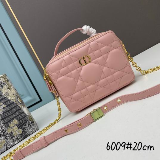 Dior 6009 20x15x6cm ww (25)