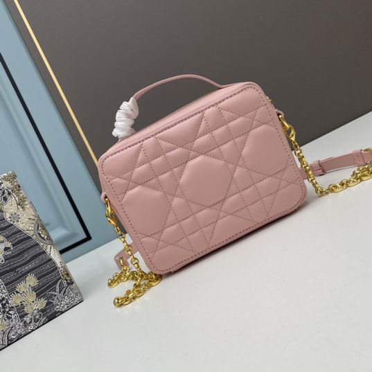 Dior 6009 20x15x6cm ww (26)