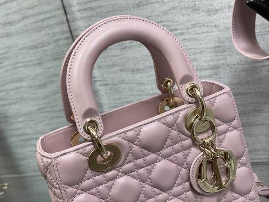 Dior 6604 20cm wz1_5