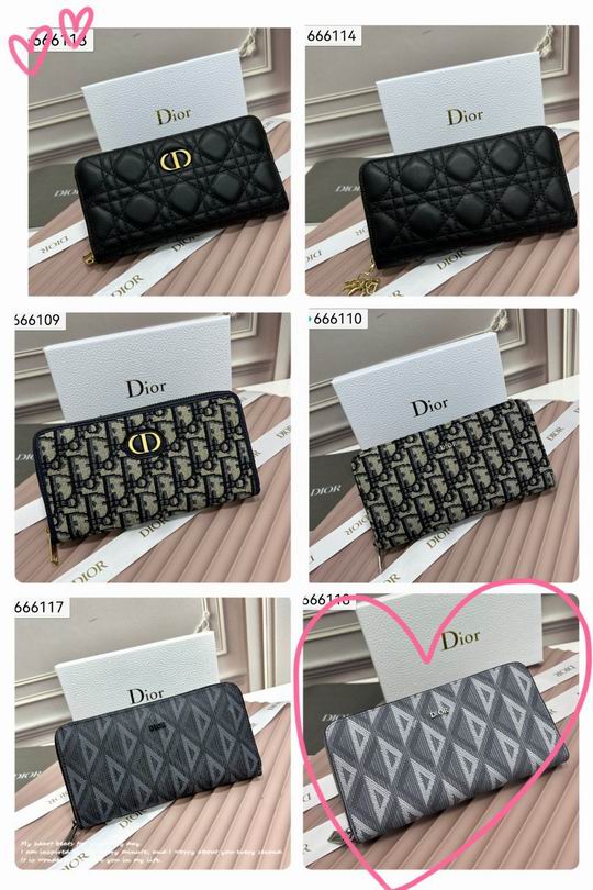 Dior 666109 19x10x2.5cm zy1 (1)