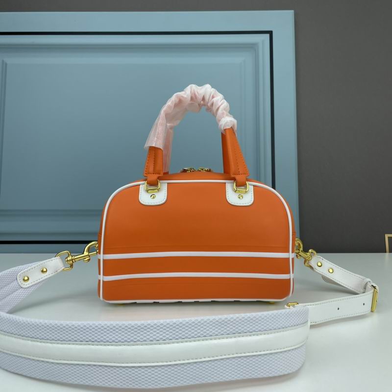 Dior 9109 25x13x16.5cm ww3色 (19)