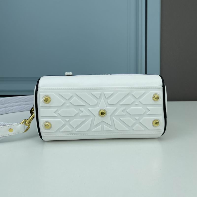 Dior 9109 25x13x16.5cm ww3色 (7)