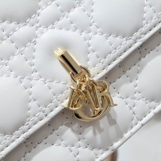 Dior 9957 24x7.5x14cm ww (22)