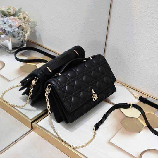 Dior 9957 24x7.5x14cm ww (29)