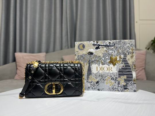 Dior Caro藤格纹 25.5x15.5x8cm CN (29)