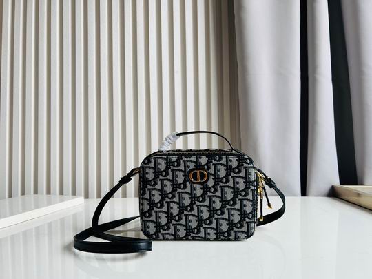 Dior Caro 17.5x5.5x13cm CN5色 (10)