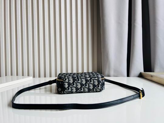 Dior Caro 17.5x5.5x13cm CN5色 (12)