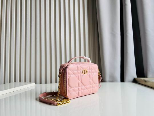 Dior Caro 17.5x5.5x13cm CN5色 (20)