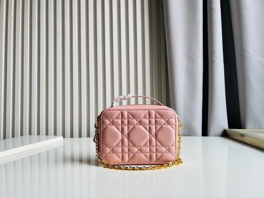 Dior Caro 17.5x5.5x13cm CN5色 (22)