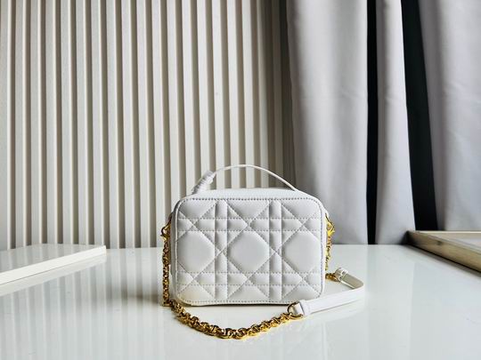 Dior Caro 17.5x5.5x13cm CN5色 (37)