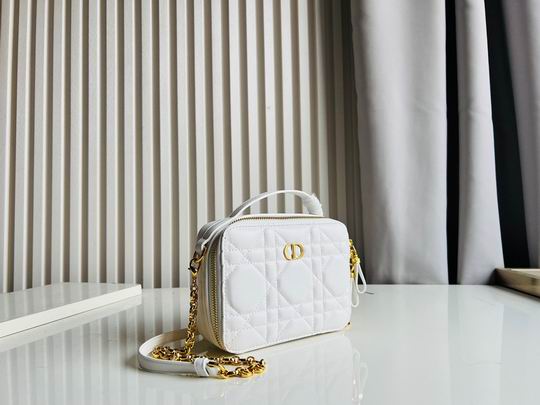 Dior Caro 17.5x5.5x13cm CN5色 (39)