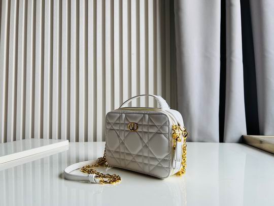 Dior Caro 17.5x5.5x13cm CN5色 (40)