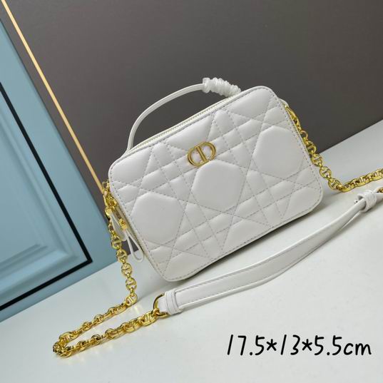 Dior Caro 17.5x5.5x13cm ww3色 (1)