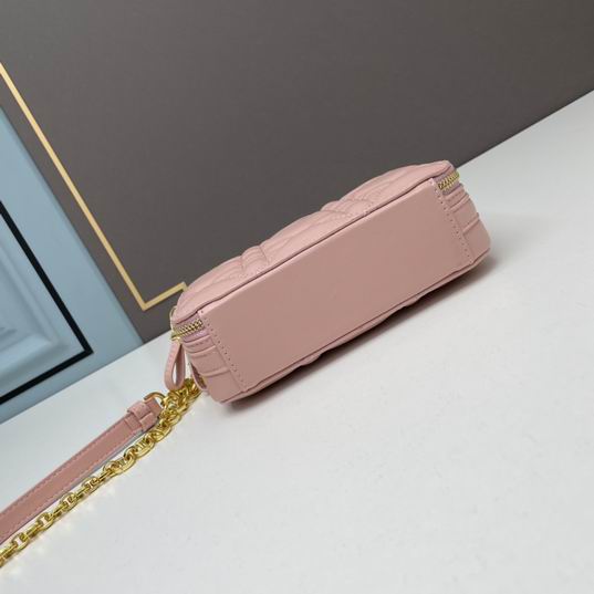 Dior Caro 17.5x5.5x13cm ww3色 (14)