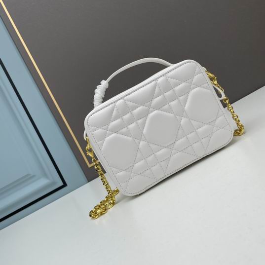 Dior Caro 17.5x5.5x13cm ww3色 (2)