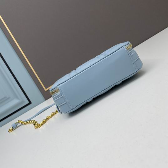 Dior Caro 17.5x5.5x13cm ww3色 (20)